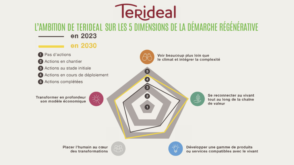 Terideal