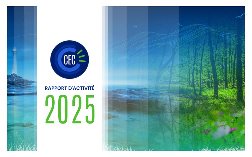 Visuel Rapport d'activité CEC 2025