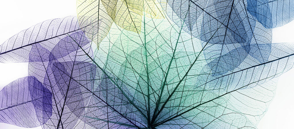 Financement systémique