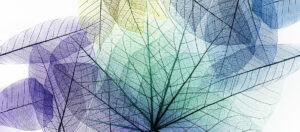 Financement systémique