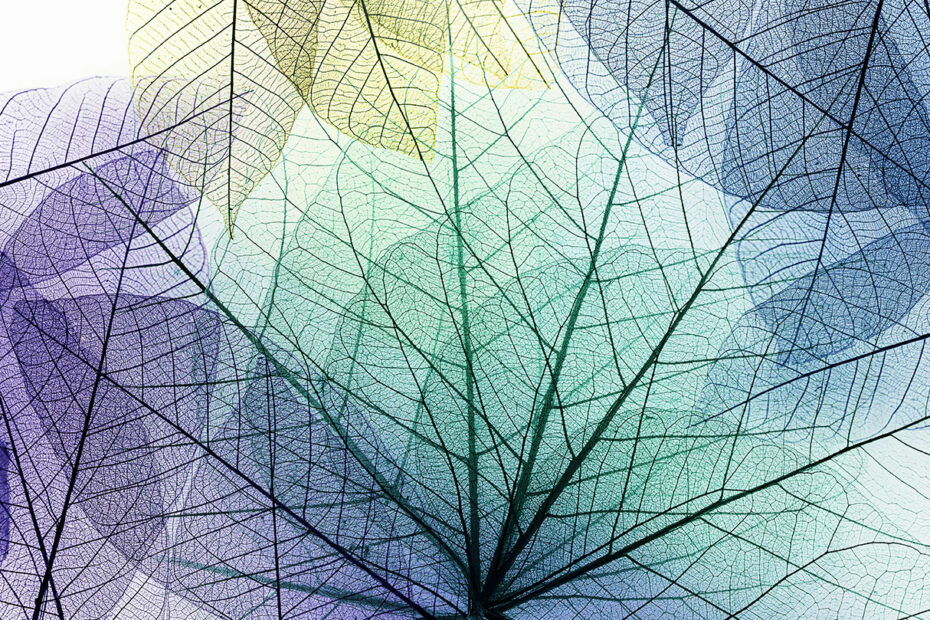 Financement systémique