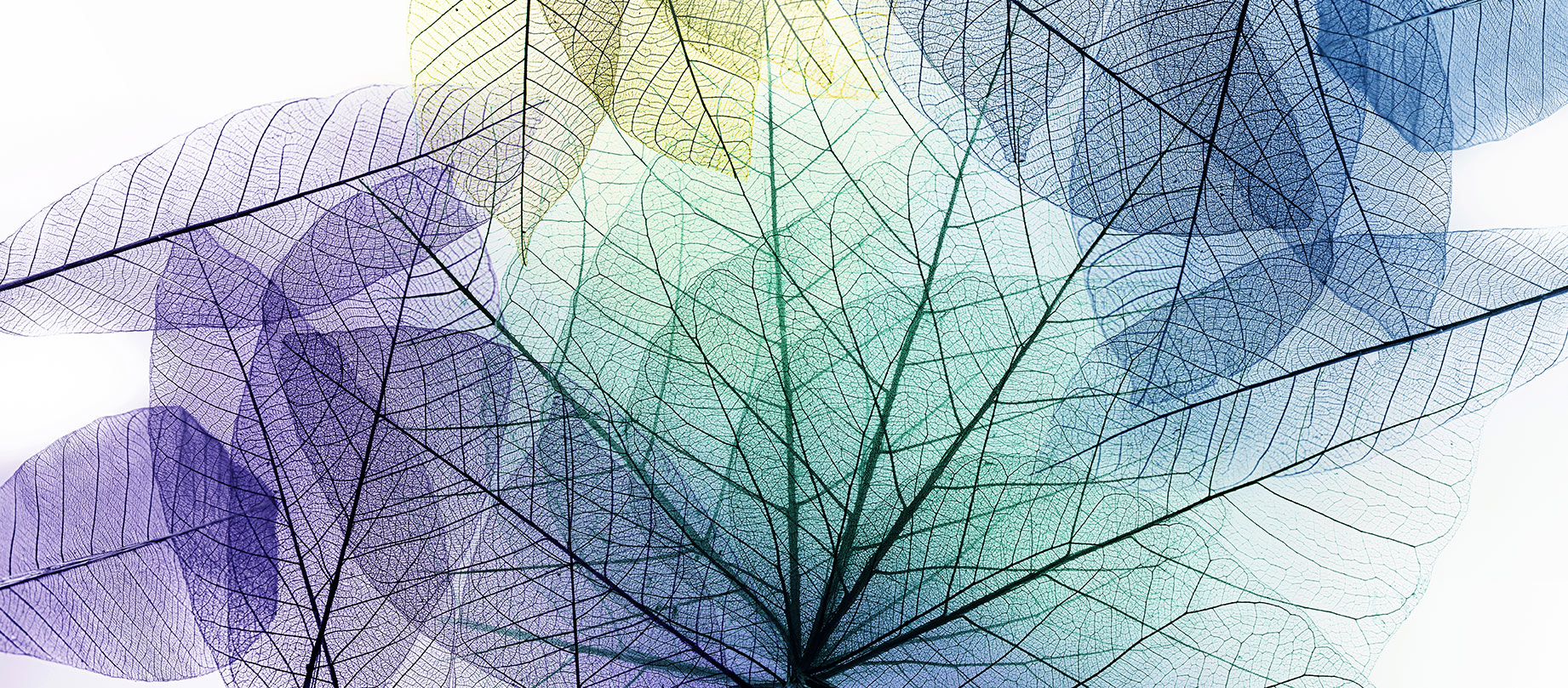 Financement systémique