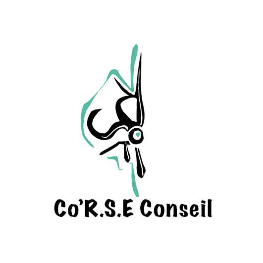 CO'R-S-E CONSEIL