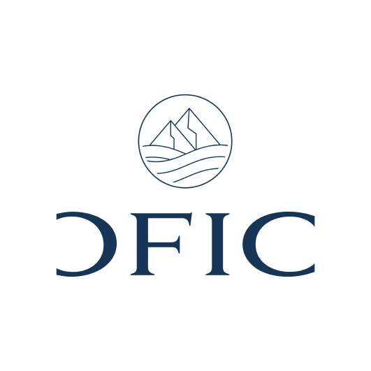 STE D'ORGANISATION FINANCIERE ET COMPTABLE