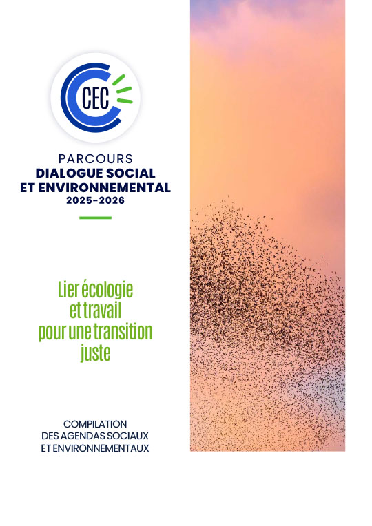 Rapport-consolide-CEC-Parcours-DSE-2025-2026-web